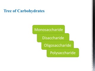 Tree of Carbohydrates
Monosaccharide
Disaccharide
Oligosaccharide
Polysaccharide
 