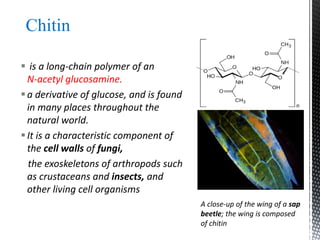  is a long-chain polymer of an
N-acetyl glucosamine.
a derivative of glucose, and is found
in many places throughout the
natural world.
It is a characteristic component of
the cell walls of fungi,
the exoskeletons of arthropods such
as crustaceans and insects, and
other living cell organisms
Chitin
A close-up of the wing of a sap
beetle; the wing is composed
of chitin
 