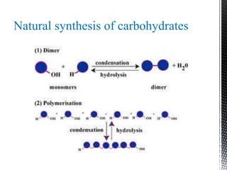 Natural synthesis of carbohydrates
 