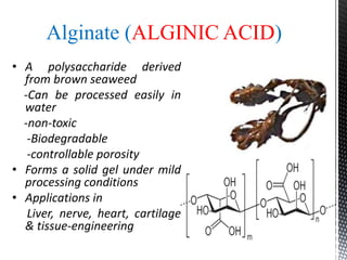 Alginate (ALGINIC ACID)
• A polysaccharide derived
from brown seaweed
-Can be processed easily in
water
-non-toxic
-Biodegradable
-controllable porosity
• Forms a solid gel under mild
processing conditions
• Applications in
Liver, nerve, heart, cartilage
& tissue-engineering
 