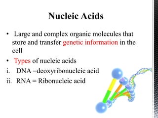 Nucleic Acids
• Large and complex organic molecules that
store and transfer genetic information in the
cell
• Types of nucleic acids
i. DNA =deoxyribonucleic acid
ii. RNA = Ribonucleic acid
 