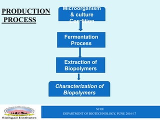 SCOE
DEPARTMENT OF BIOTECHNOLOGY, PUNE 2016-17
Microorganism
& culture
Condition
Fermentation
Process
Extraction of
Biopolymers
Characterization of
Biopolymers
PRODUCTION
PROCESS
 