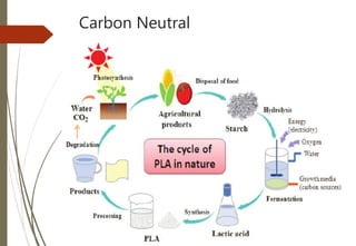 Carbon Neutral
 