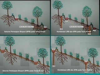 Saluran Peresapan Biopori (SPB) pada Teras Kredit   Kombinasi LRB dan SPB pada Teras Kredit




                                                     Kombinasi LRB dan SPB pada Teras Gulud
Saluran Peresapan Biopori (SPB) pada Teras Gulud
 