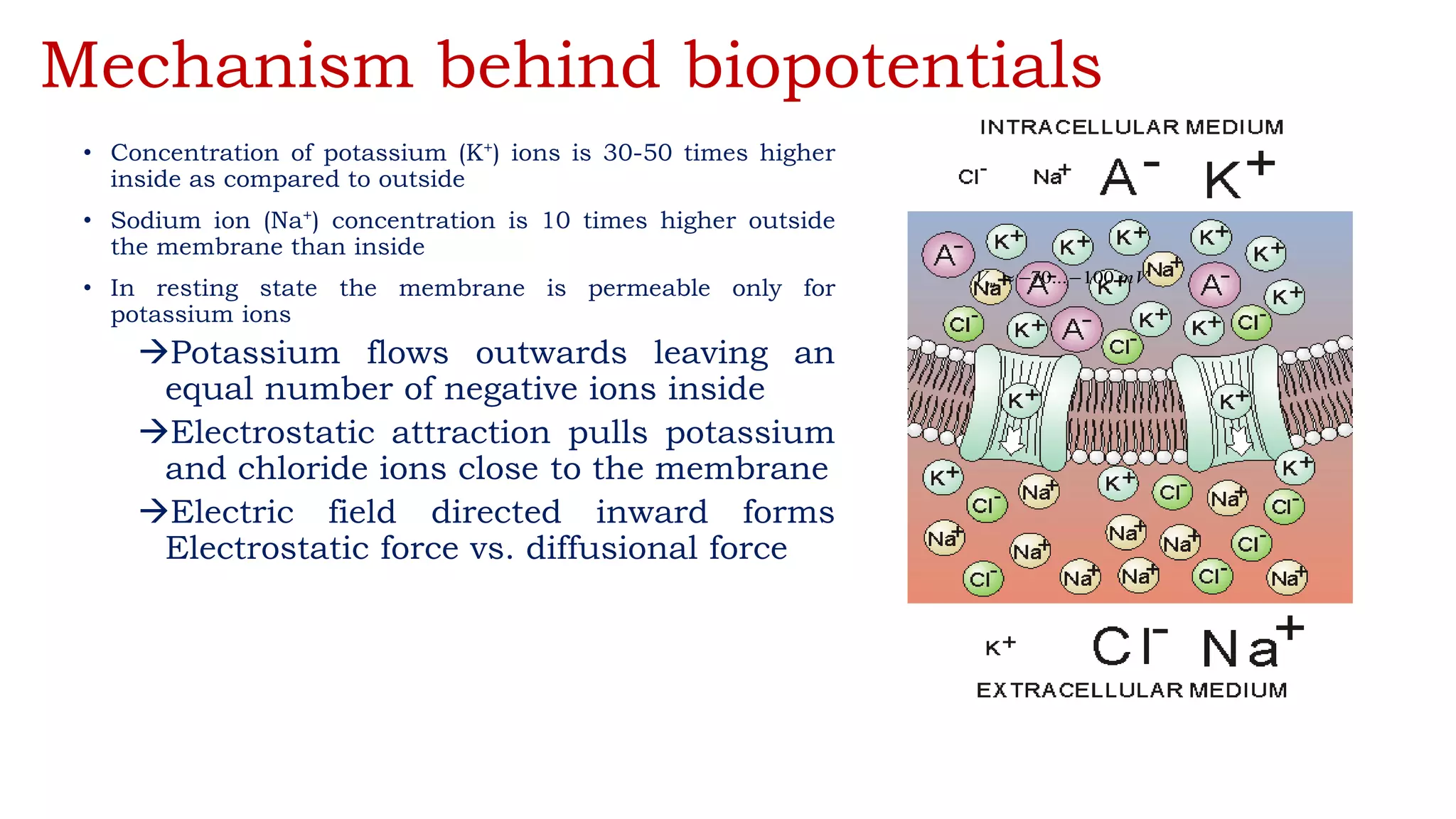 Mechanism behind biopotentials
• Concentration of potassium (K+) ions is 30-50 times higher
inside as compared to outside
• Sodium ion (Na+) concentration is 10 times higher outside
the membrane than inside
• In resting state the membrane is permeable only for
potassium ions
Potassium flows outwards leaving an
equal number of negative ions inside
Electrostatic attraction pulls potassium
and chloride ions close to the membrane
Electric field directed inward forms
Electrostatic force vs. diffusional force
mV
Vm 100
...
70 


 