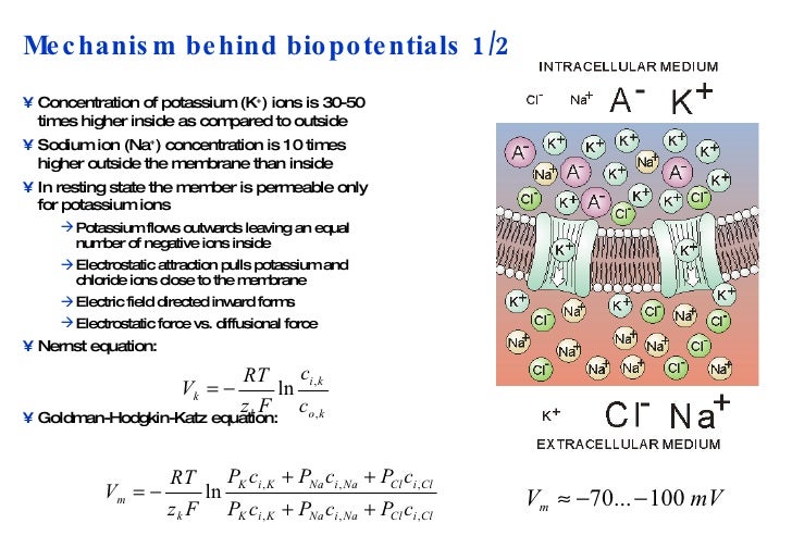 Biopotentials