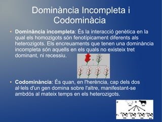 Dominància Incompleta i
Codominàcia
● Dominància incompleta: És la interacció genètica en la
qual els homozigots són fenotípicament diferents als
heterozigots. Els encreuaments que tenen una dominància
incompleta són aquells en els quals no existeix tret
dominant, ni recessiu.
● Codominància: És quan, en l'herència, cap dels dos
al·lels d'un gen domina sobre l'altre, manifestant-se
ambdós al mateix temps en els heterozigots.
 
