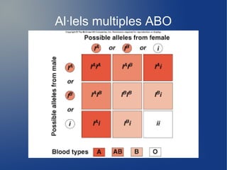 Al·lels multiples ABO
 