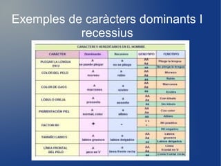 Exemples de caràcters dominants I
recessius
 