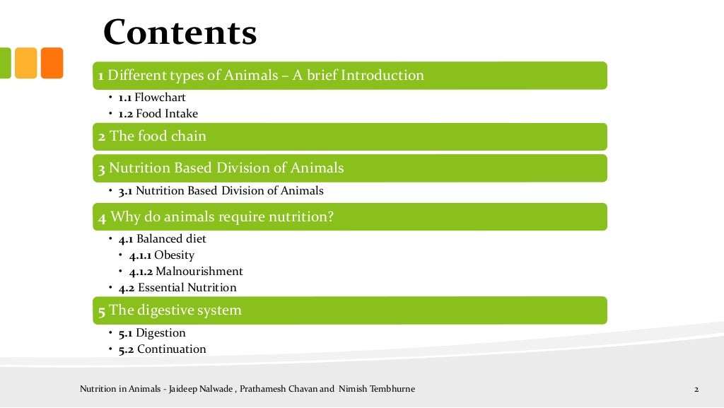 Nutrition in animals