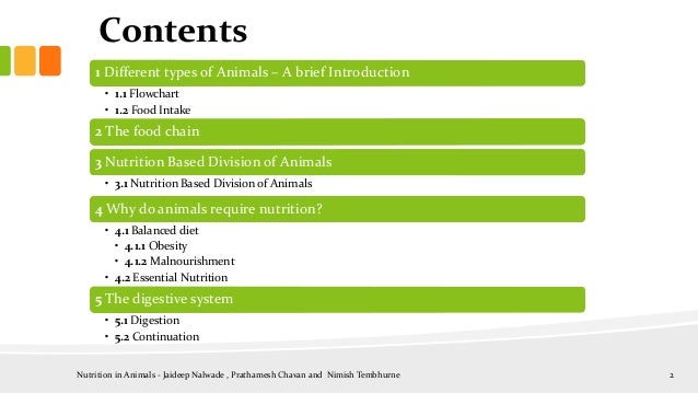 Nutrition in animals