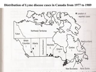 Distribution of Lyme disease cases in Canada from 1977 to 1989
 