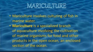 • Mariculture involves culturing of fish in
marine water.
• Mariculture is a specialized branch
of aquaculture involving the cultivation
of marine organisms for food and other
products in the open ocean, an enclosed
section of the ocean.
 