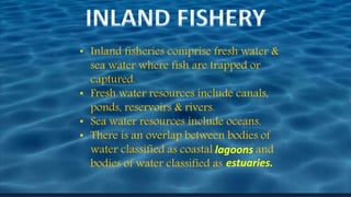 • Inland fisheries comprise fresh water &
sea water where fish are trapped or
captured.
• Fresh water resources include canals,
ponds, reservoirs & rivers.
• Sea water resources include oceans.
• There is an overlap between bodies of
water classified as coastal and
bodies of water classified as estuaries.
lagoons
 