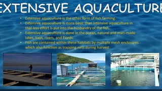 • Extensive aquaculture is the other form of fish farming.
• Extensive aquaculture is more basic than intensive aquaculture in
that less effort is put into the husbandry of the fish.
• Extensive aquaculture is done in the ocean, natural and man-made
lakes, bays, rivers, and Fiords.
• Fish are contained within these habitats by multiple mesh enclosures
which also function as trapping nets during harvest.
 