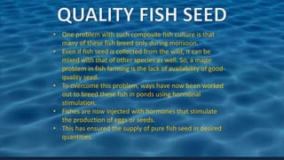 • One problem with such composite fish culture is that
many of these fish breed only during monsoon.
• Even if fish seed is collected from the wild, it can be
mixed with that of other species as well. So, a major
problem in fish farming is the lack of availability of good-
quality seed.
• To overcome this problem, ways have now been worked
out to breed these fish in ponds using hormonal
stimulation.
• Fishes are now injected with hormones that stimulate
the production of eggs or seeds.
• This has ensured the supply of pure fish seed in desired
quantities.
 