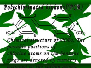 Chemical structure of PCBs. The 
possible positions of 
chlorine atoms on the benzene 
rings are denoted by numbers 
assigned to the carbon atoms. 
 