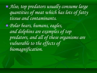  Also, top predators usually consume large 
quantities of meat which has lots of fatty 
tissue and contaminants. 
 Polar bears, humans, eagles, 
and dolphins are examples of top 
predators, and all of these organisms are 
vulnerable to the effects of 
biomagnification. 
 