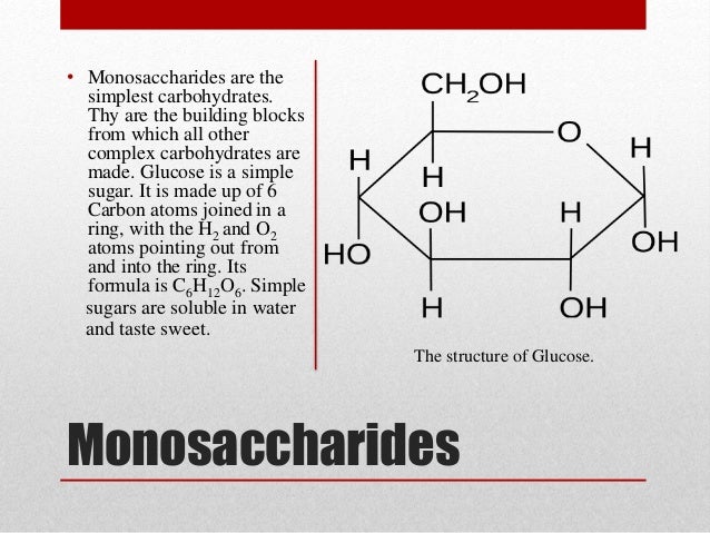 Carbohydrates Carbs Gcse Biology