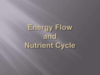 Energy Flow and Nutrient Cycle 