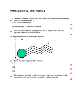 PRACTISE QUESTIONS – UNIT 1 MODULE 1 
1. Glycogen, cellulose, polypeptides and phospholipids all have large molecules. 
(a) Which of these molecules is 
(i) not found in a plant cell; 
(1) 
(ii) used primarily as a structural molecule? 
(1) 
(b) 
Give one element found in polypeptides that is not present in those of 
glycogen, cellulose or phospholipids. 
(1) 
The diagram represents a phospholipid molecule 
(c) Name the following parts of the molecule 
(i) A 
(1) 
(ii) B 
(1) 
(iii) C 
(1) 
(d) 
Phospholipids are found in cell membranes. Proteins are also found in cell 
membranes, give two functions of proteins in cell membranes 
(2) 
 