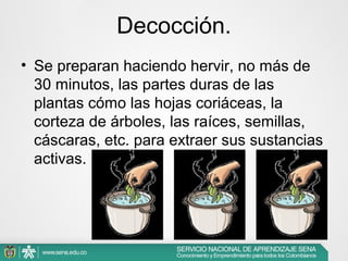 Decocción.
• Se preparan haciendo hervir, no más de
30 minutos, las partes duras de las
plantas cómo las hojas coriáceas, la
corteza de árboles, las raíces, semillas,
cáscaras, etc. para extraer sus sustancias
activas.

 