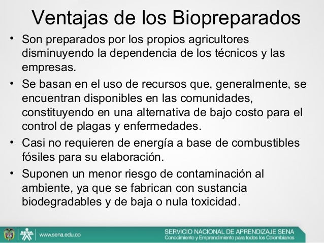 La oración que no bebería el padre