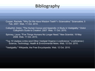 Blind Mole Rats have tiny eyes that are covered by a thin layer of skin, rendering the eyes useless 