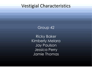 Vestigial Characteristics Group 42 Ricky Baker Kimberly Melara Jay Paulson Jessica Perry Jamie Thomas 
