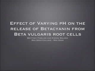 Effect of Varying pH on the
release of Betacyanin from
 Beta vulgaris root cells
      Brittney Fiselier and Kierra Walker
          Red Deer College - Red Deer
 