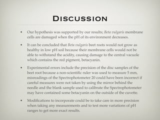 Discussion
•   Our hypothesis was supported by our results; Beta vulgaris membrane
    cells are damaged when the pH of its environment decreases.

•   It can be concluded that Beta vulgaris beet roots would not grow as
    healthy in low pH soil because their membrane cells would not be
    able to withstand the acidity, causing damage to the central vacuole
    which contains the red pigment, betacyanin.

•   Experimental errors include the precision of the disc samples of the
    beet root because a non-scientiﬁc ruler was used to measure 5 mm,
    misreadings of the Spectrophotometer 20 could have been incorrect if
    careful measures were not taken by using the mirror behind the
    needle and the blank sample used to calibrate the Spectrophotometer
    may have contained some betacyanin on the outside of the cuvette.

•   Modiﬁcations to incorporate could be to take care in more precision
    when taking any measurements and to test more variations of pH
    ranges to get more exact results.
 
