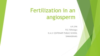 Fertilization in an
angiosperm
A.K.JHA
P.G.T(Biology)
D.A.V. CENTENARY PUBLIC SCHOOL
SIWAN(BIHAR)
 