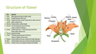 Structure of flower
 