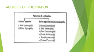 AGENCIES OF POLLINATION
 