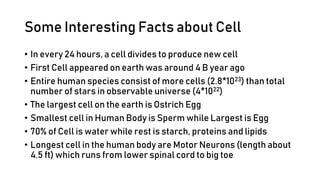Some Interesting Facts about Cell
• In every 24 hours, a cell divides to produce new cell
• First Cell appeared on earth was around 4 B year ago
• Entire human species consist of more cells (2.8*1023) than total
number of stars in observable universe (4*1022)
• The largest cell on the earth is Ostrich Egg
• Smallest cell in Human Body is Sperm while Largest is Egg
• 70% of Cell is water while rest is starch, proteins and lipids
• Longest cell in the human body are Motor Neurons (length about
4.5 ft) which runs from lower spinal cord to big toe
 