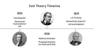 1835
FelixDujardin
Discovered
fluidcontentof
cell
1838
MatthiasSchleiden
Proposed all plants
are made up of cells
1839
J. E. Purkinje
Namedfluidcontentof
cell as protoplasm
Cell Theory Timeline
 