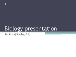 Biology presentation
By Juvraj Singh (7th A)
 