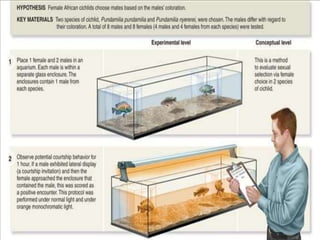 Bio presentation section 24 point 3