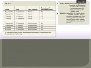 Bio presentation section 24 point 3