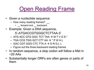 BioPrimer.ppt