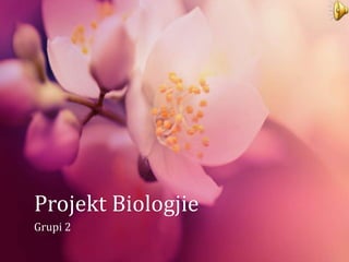 Projekt Biologjie 
Grupi 2 
 