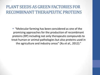 PLANT SEEDSAS GREENFACTORIESFOR
RECOMBINANT THERAPEUTICPROTEINS
 “Molecular farming has been considered as one of the
promising approaches for the production of recombinant
proteins (RP) including not only therapeutic compounds to
treat human or animal pathologies but also proteins used in
the agriculture and industry areas” (Xu et al., 2012).”
 
