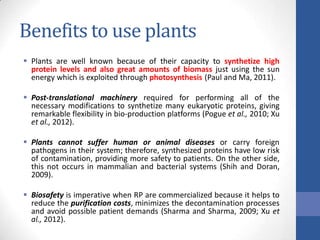 Benefits to use plants
 Plants are well known because of their capacity to synthetize high
protein levels and also great amounts of biomass just using the sun
energy which is exploited through photosynthesis (Paul and Ma, 2011).
 Post-translational machinery required for performing all of the
necessary modifications to synthetize many eukaryotic proteins, giving
remarkable flexibility in bio-production platforms (Pogue et al., 2010; Xu
et al., 2012).
 Plants cannot suffer human or animal diseases or carry foreign
pathogens in their system; therefore, synthesized proteins have low risk
of contamination, providing more safety to patients. On the other side,
this not occurs in mammalian and bacterial systems (Shih and Doran,
2009).
 Biosafety is imperative when RP are commercialized because it helps to
reduce the purification costs, minimizes the decontamination processes
and avoid possible patient demands (Sharma and Sharma, 2009; Xu et
al., 2012).
 