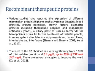 Recombinanttherapeutic proteins
 Various studies have reported the expression of different
mammalian proteins in plants such as vaccines antigens, blood
proteins, growth hormones, growth factors, diagnostic
proteins including therapeutic enzymes and monoclonal
antibodies (mAbs), auxiliary proteins such as Factor VIII for
hemophiliacs or insulin for the treatment of diabetic people,
immune system stimulators or suppressants such as cytokines,
interleukins and interferons (Sharma and Sharma, 2009; Xu et
al., 2012).
 The yield of the RP obtained can vary significantly from 0.01%
of total soluble protein and 0.1 μg/L, up to 25% of TSP and
247 mg/L. There are several strategies to improve the yield
(Xu et al., 2012).
 