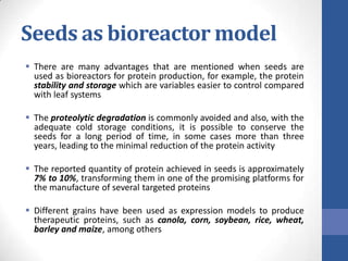 Seeds as bioreactor model
 There are many advantages that are mentioned when seeds are
used as bioreactors for protein production, for example, the protein
stability and storage which are variables easier to control compared
with leaf systems
 The proteolytic degradation is commonly avoided and also, with the
adequate cold storage conditions, it is possible to conserve the
seeds for a long period of time, in some cases more than three
years, leading to the minimal reduction of the protein activity
 The reported quantity of protein achieved in seeds is approximately
7% to 10%, transforming them in one of the promising platforms for
the manufacture of several targeted proteins
 Different grains have been used as expression models to produce
therapeutic proteins, such as canola, corn, soybean, rice, wheat,
barley and maize, among others
 