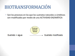 BIOTRANSFORMACIÓN
• Son los procesos en los que los sustratos naturales o sintéticos
son modificados por medio de una ACTIVIDAD ENZIMÁTICA
 
