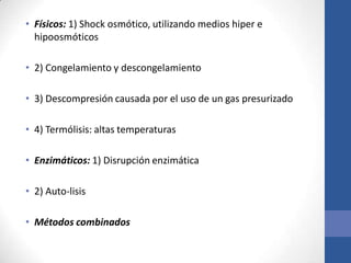 • Físicos: 1) Shock osmótico, utilizando medios hiper e
hipoosmóticos
• 2) Congelamiento y descongelamiento
• 3) Descompresión causada por el uso de un gas presurizado
• 4) Termólisis: altas temperaturas
• Enzimáticos: 1) Disrupción enzimática
• 2) Auto-lisis
• Métodos combinados
 