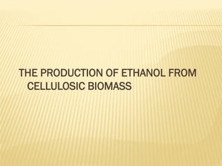 bioprocess and Bioreactor presentation.pdf