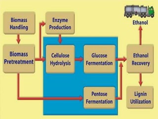 bioprocess and Bioreactor presentation.pdf
