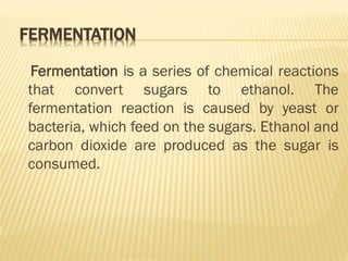 bioprocess and Bioreactor presentation.pdf